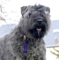 ILLROY DU CLOS DE LA LUETTE &copy;